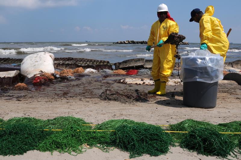 Health, safety and environment (HSE) workers contracted by BP clean up oil on a beach in Port Fourchon, La. after the 2010 Deep Water Horizon oil spill..
US Department of Defense