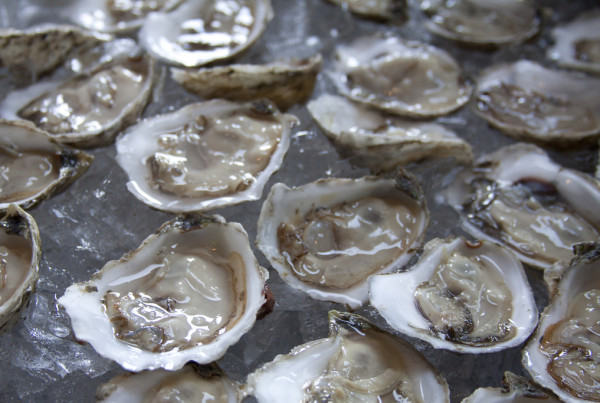 The Big Fight in Galveston Bay Over Oysters