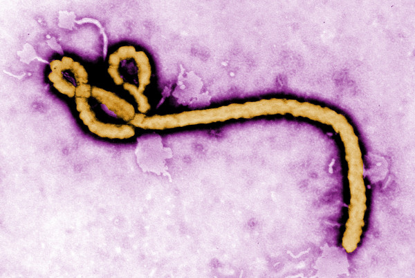 Houston Doctor Heads to Middle East to Prevent the Next Ebola