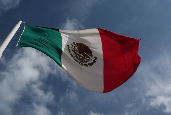 Mexico’s Midterm Elections: El Bronco, Ballot Burning and PRI Still in Power