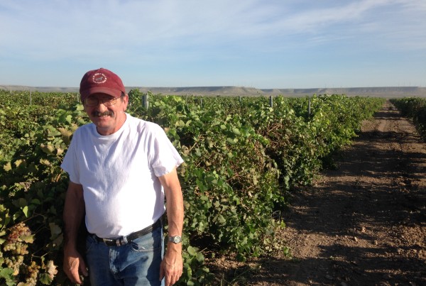 Texas’ Biggest Winery Thrives In The Desert