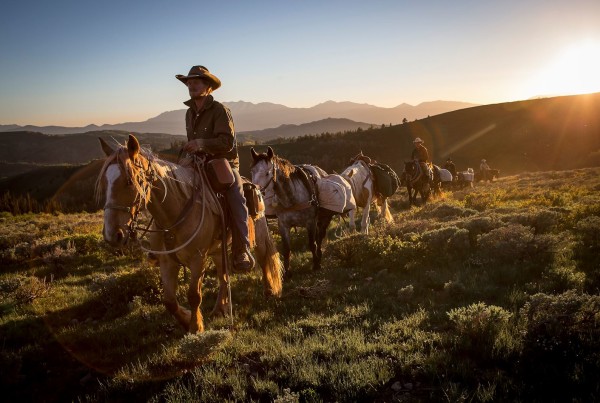These Cowboys Took Wild Horses on a 3,000 Mile Ride – And Filmed It All