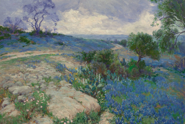 These Bluebonnets Haven’t Been Seen in 40 Years