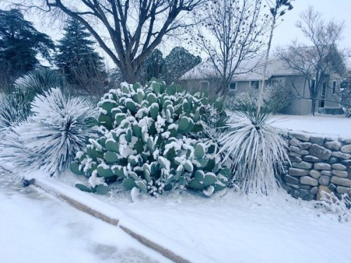 Blizzard Blankets West Texas Over the Weekend