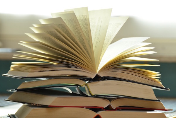 The Top 3 Books of 2015 by Texans