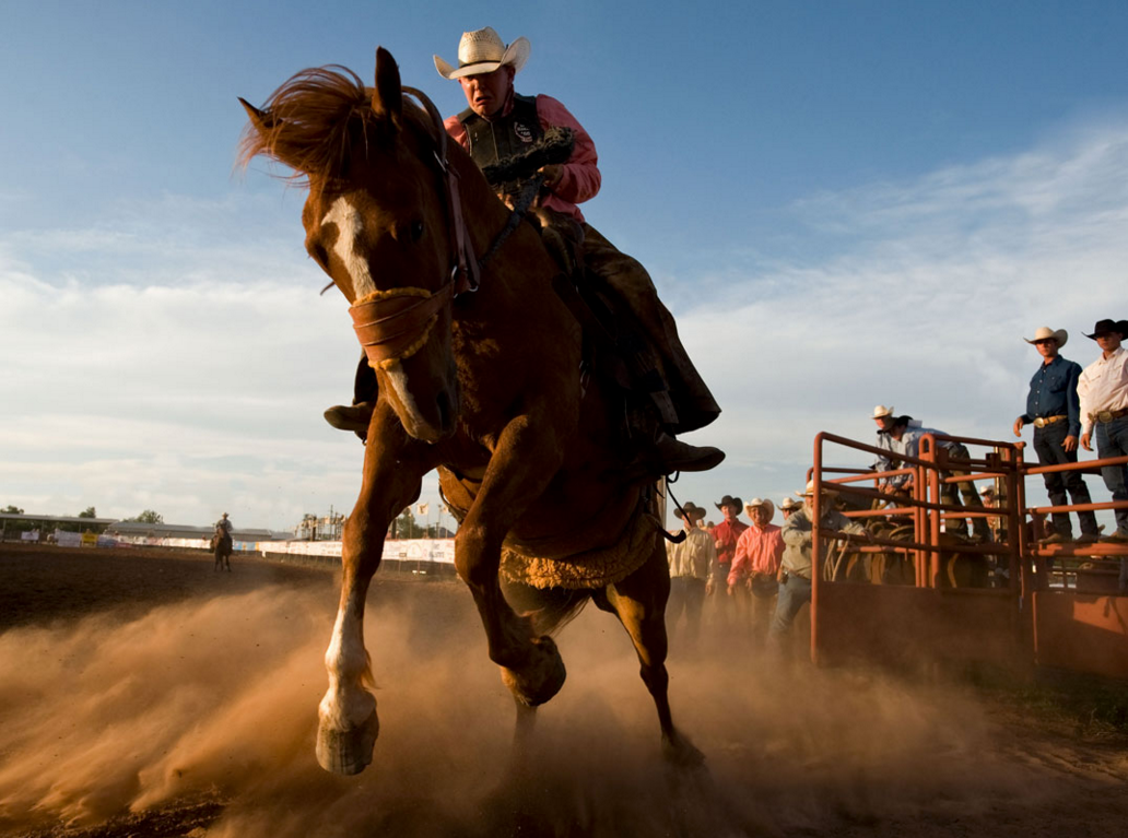 Позвонить ковбою. Техас Ковбои. Неуловимые ковбойки Ноттингема, Техас. Ковбой дикий Запад штат Техас. Техас ранчо Ковбои.