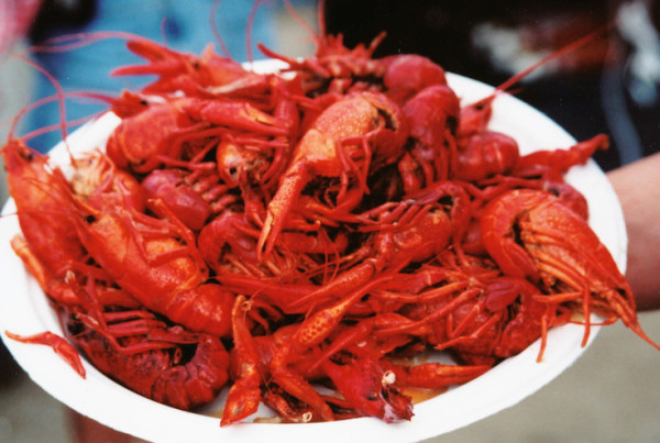 You Can Get Your Mudbugs Early This Year, and They’re Bigger Than Ever