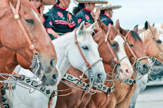 Meet The Guadalupanas, A Group of Mexican Ladies On Horseback