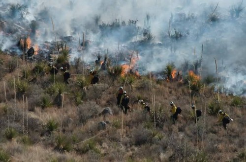 1,500-Acre Fire in Big Bend National Park Now Contained