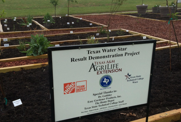 Researchers Study Smart Water Use Through New Garden