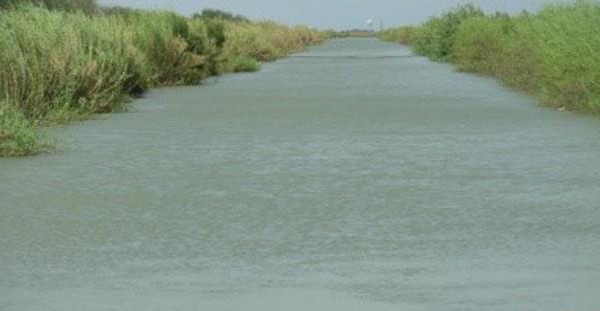 Residents in this South Texas Town Have Been Eating Toxic Fish
