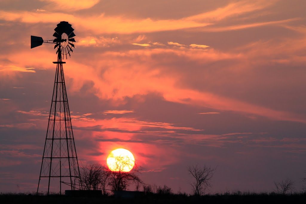 You May All Go to Hell, and I Will Go to the TexasLand Theme Park