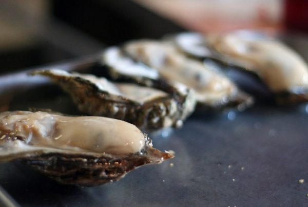Heavy Rains Cause Texas Oyster Disaster, for the Second Year in a Row