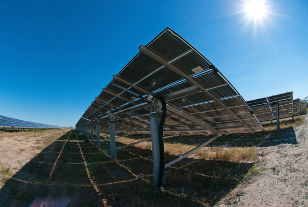 Why Solar’s Still Struggling in the Lone Star State