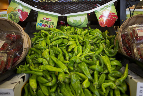 Why Are Grocery Stores So Hot for Hatch Chile Peppers?