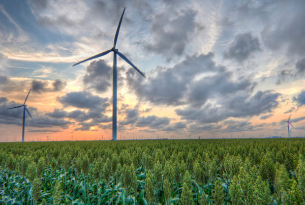 A Modern-Day Spindletop: How One Entrepreneur Exemplifies The Renewable Energy Boom In Texas