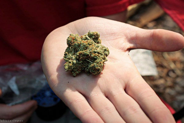 Four States Legalized Weed Last Night. Could It Happen in Texas?