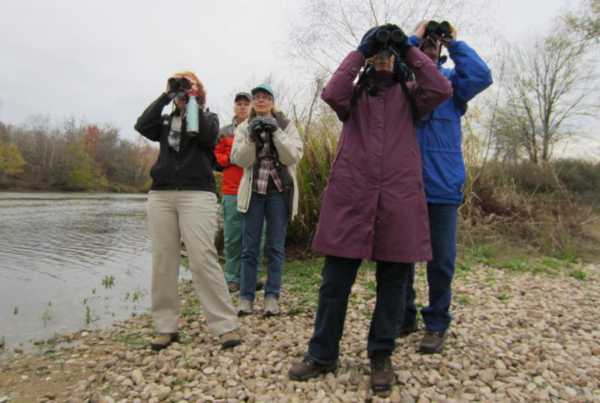 Christmas Bird Count Reveals Changes in Central Texas Wildlife