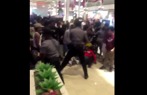 Did Social Media Play a Role in the Recent Mall Fights?