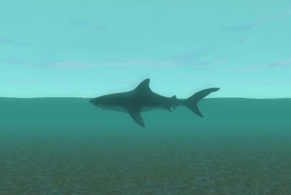 Virtual Reality Sharks Nab Professor Grant Funds