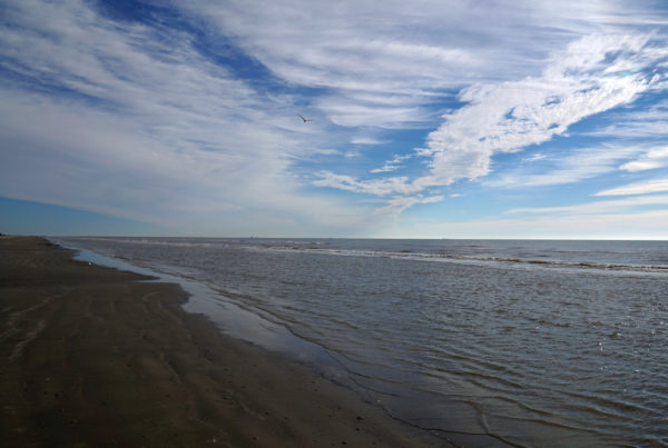 Galveston Avoids Politics To Fight Climate Change