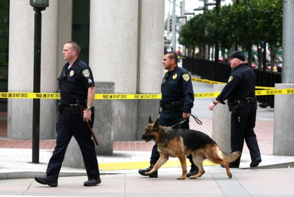 We Need More Bomb-Sniffing Dogs