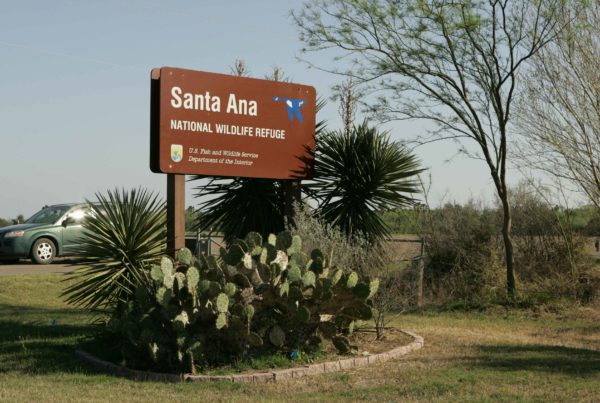 South Texans Protest Border Wall’s Likely Impact On Their Economy And The Environment