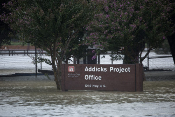 Harvey’s Flood Waters Contain Heavy Metals And Bacteria Associated With Waste