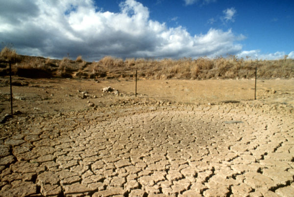 News Roundup: New Data Shows Over Half Of The State Is Now Experiencing Drought