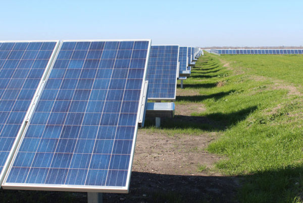 Talk Of Tariffs Is Already Costing Solar Jobs In Texas