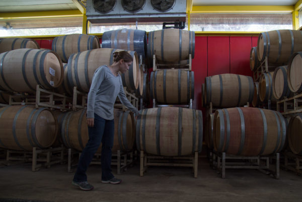 Despite A Volatile Climate And Marketing Challenges, Hill Country Wineries Keeps Growing