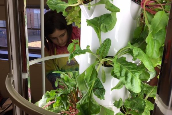 Dallas Arboretum Brings Nature Inside Schools That Can’t Afford Field Trips