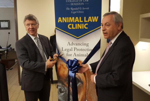 Houston Now Has Its First Animal Law Clinic