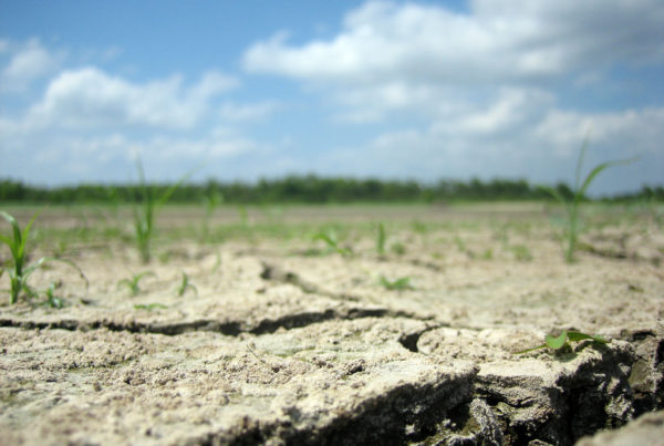 News Roundup: Almost Half Of Texas Is Experiencing Drought Conditions