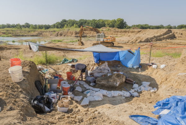 TxDOT Finds Possible Mammoth Bones Near Lubbock Road Project