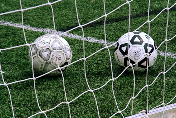 soccer balls in a net