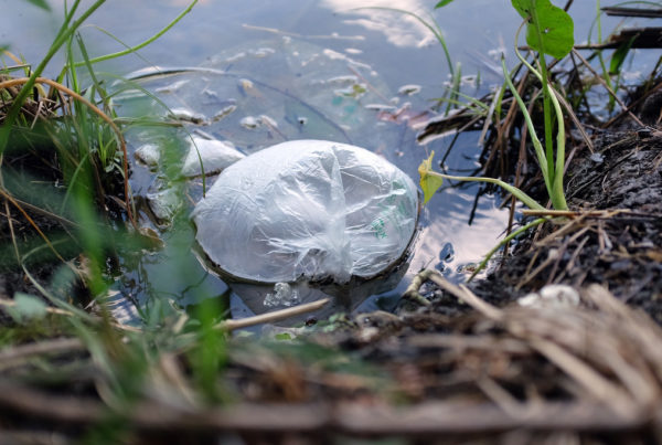 Texas Supreme Court Strikes Down Laredo Plastic Bag Ban