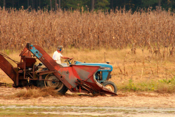 Texas Farm Bureau Head Sees Proposed Agri-Biz Stimulus As ‘A Last Resort Option’