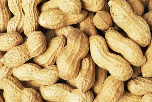 Amid Free Trade Concerns, Mexican Peanut Company Expands Production To Conroe