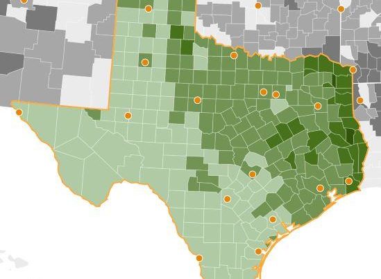 Report Says Texas Hunger Rates Exceed The National Average