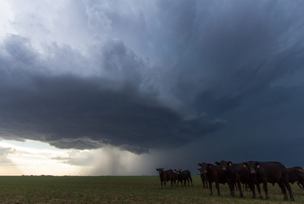 A New Study Shows ‘Tornado Alley’ Is Moving Eastward, Away From Texas
