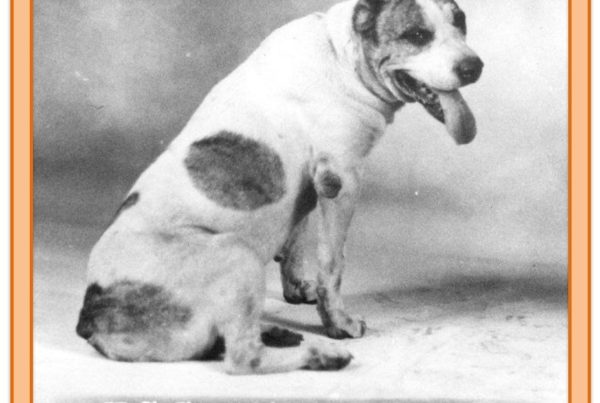 Before There Was A Longhorn Named Bevo, There Was A Dog Named Pig