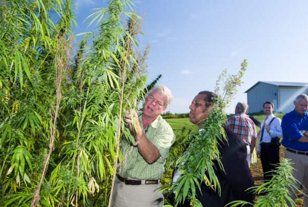 House Overwhelmingly Passes Farm Bill, With Little Change To SNAP But Big Opportunity For Hemp