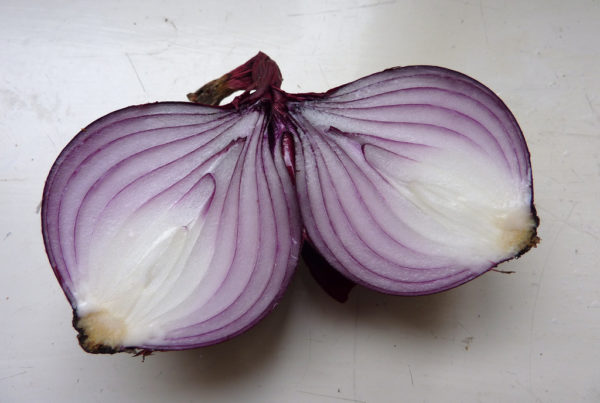 Can An Onion Predict The Weather?