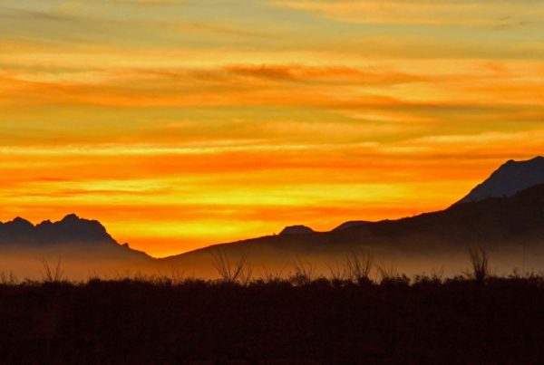 News Roundup: A Fire Is Burning Across Hundreds Of Acres In Big Bend National Park