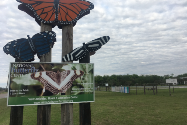 Butterfly Center Asks Judge To Halt Border Wall Construction Activity On Its Land