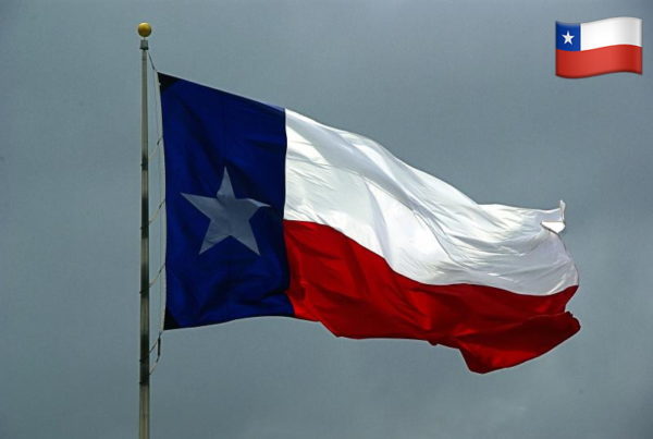 Though Lots Of Emoji Are Popping Up In Court Cases, The Texas Flag Isn’t Among Them