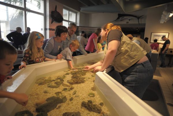 Sea Center Teaches Texans How Fish Fit Into The Ocean’s Ecosystems