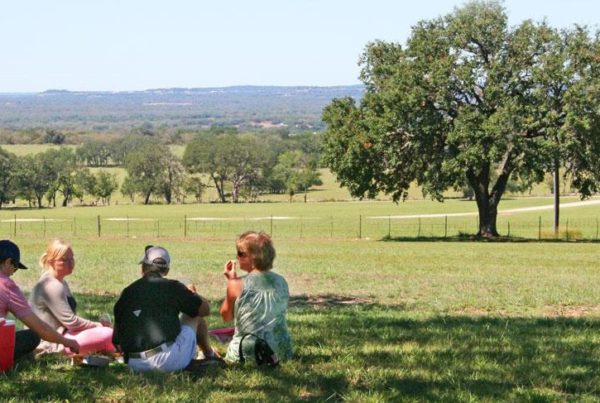The Hill Country Wine Route Is Packed With Exclusive And Family-Friendly Wine Experiences