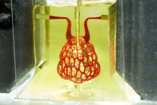 A Rice University Scientist Is Building Lung Tissue With The Help Of 3D Printing